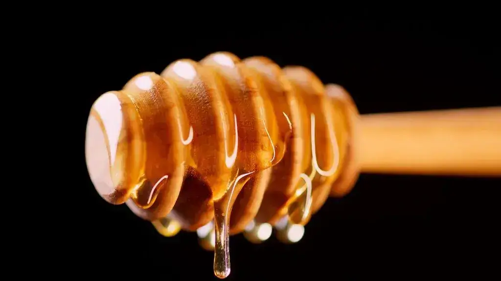 Honey Ripening