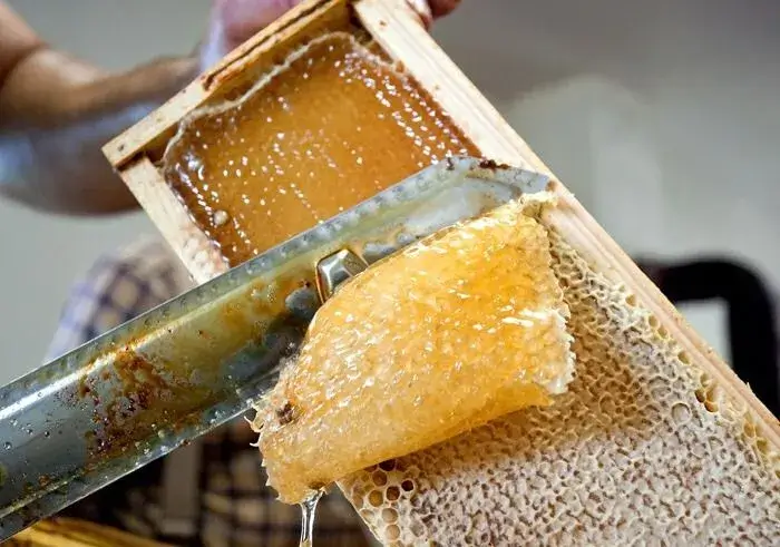 Honey Extraction