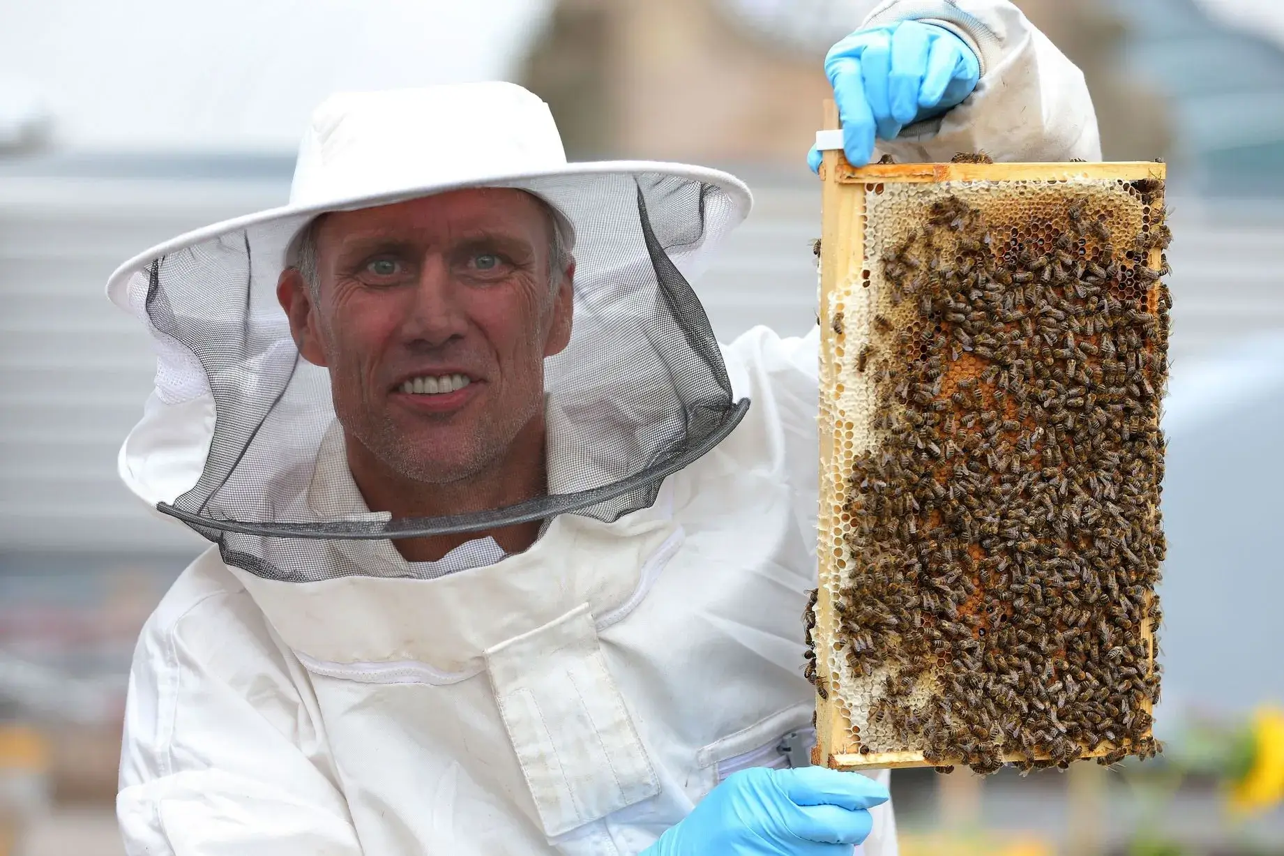 Beekeeping Specialist David