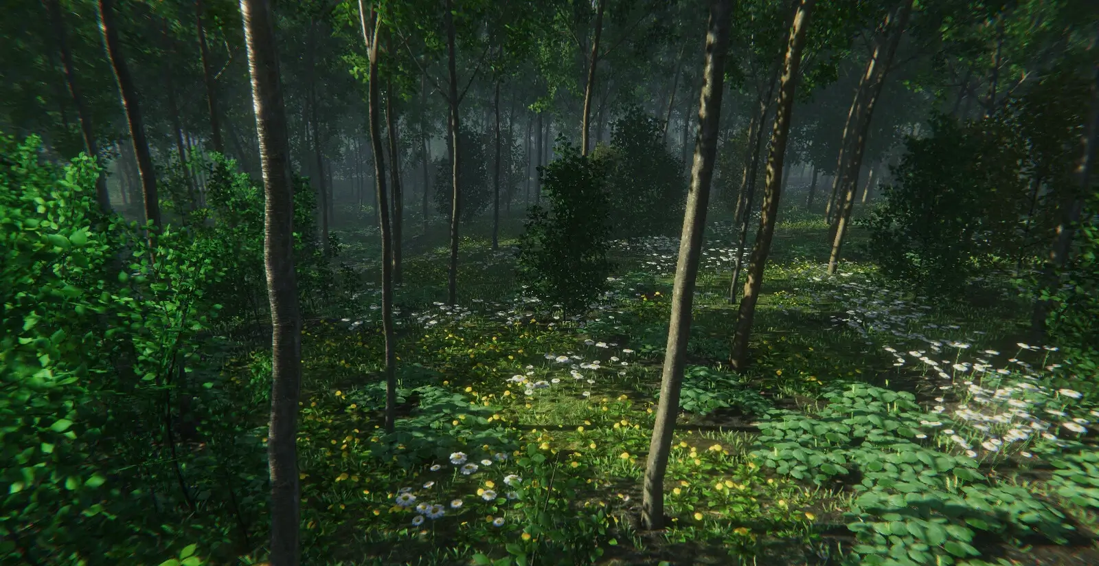 Forest Environment