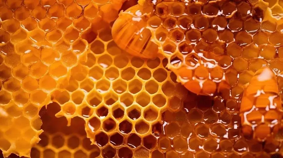 Honeycomb