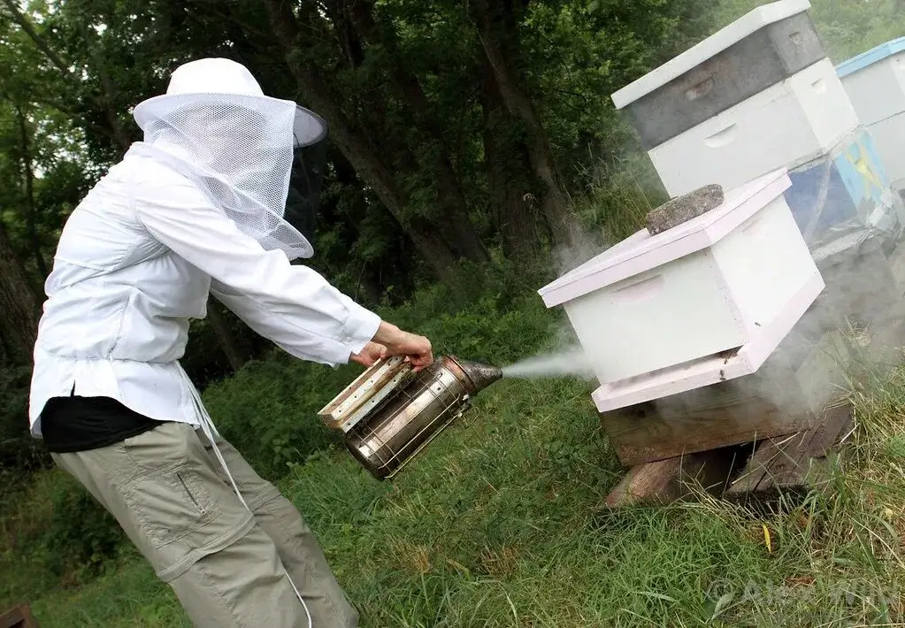 Laboratory Equipment