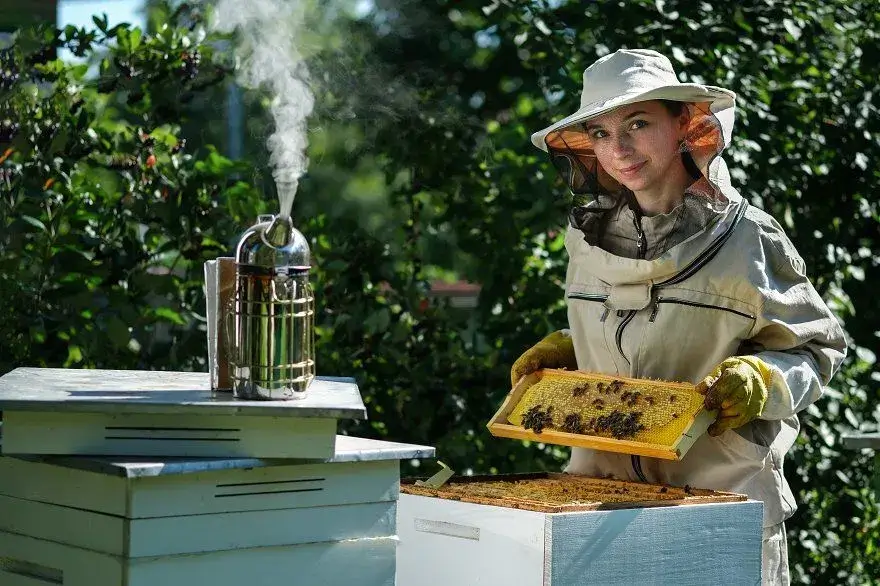 Apiary Manager Sarah