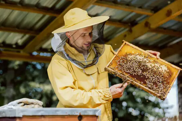 Sustainable Beekeeping